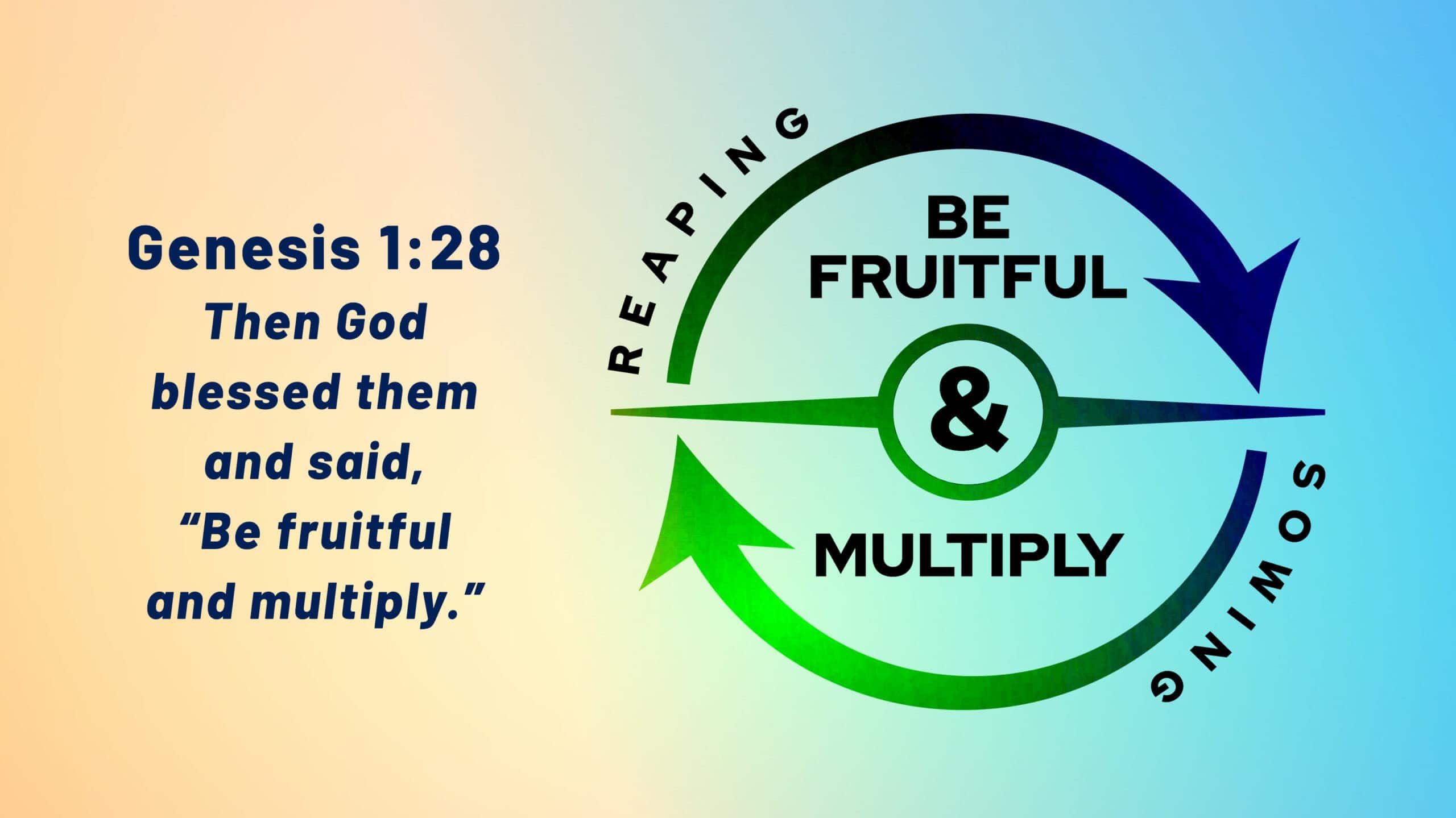 Be fruitful and multiply - the cycle of God's blessing