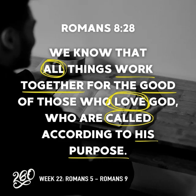 A new week in 260 means a new opportunity to hear from God. Let’s stay consistent, stay expectant, and stay rooted in His word! 
#260 #NT #BibleReadingPlan