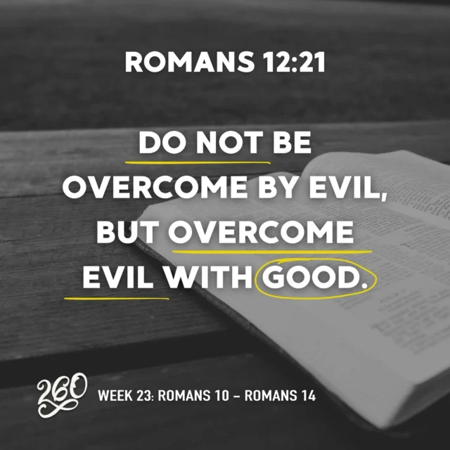 Reading the Bible with others changes everything! This week, go deeper with a 260 group. Details and link in bio — don’t do it alone! 
#NT #260 #BibleReadingPlan